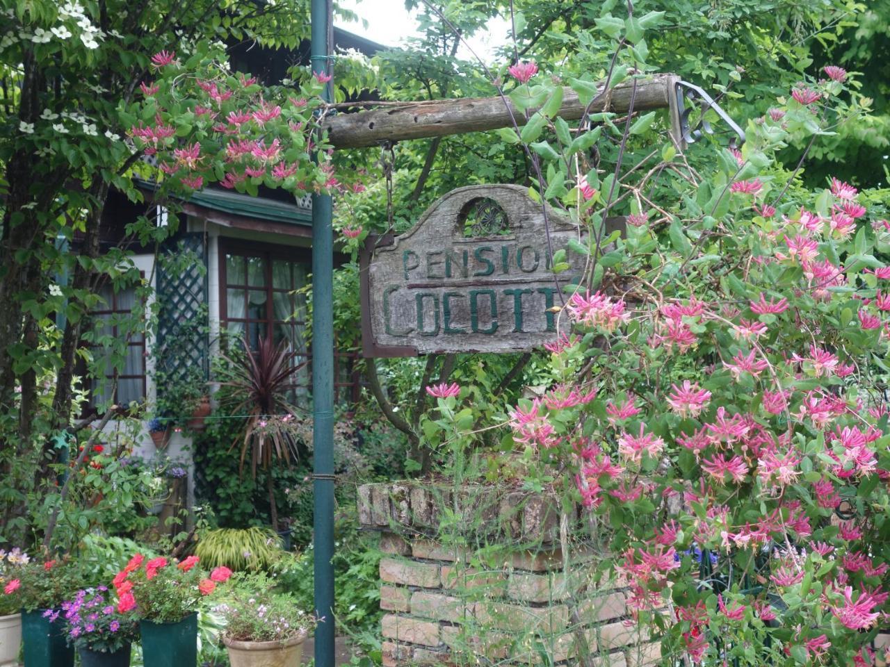 Pension Cocotte Такаяма Экстерьер фото