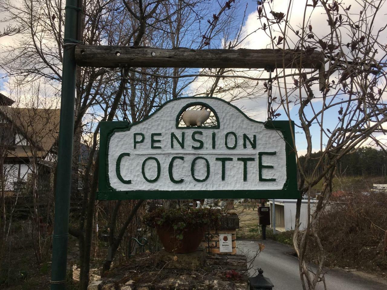 Pension Cocotte Такаяма Экстерьер фото